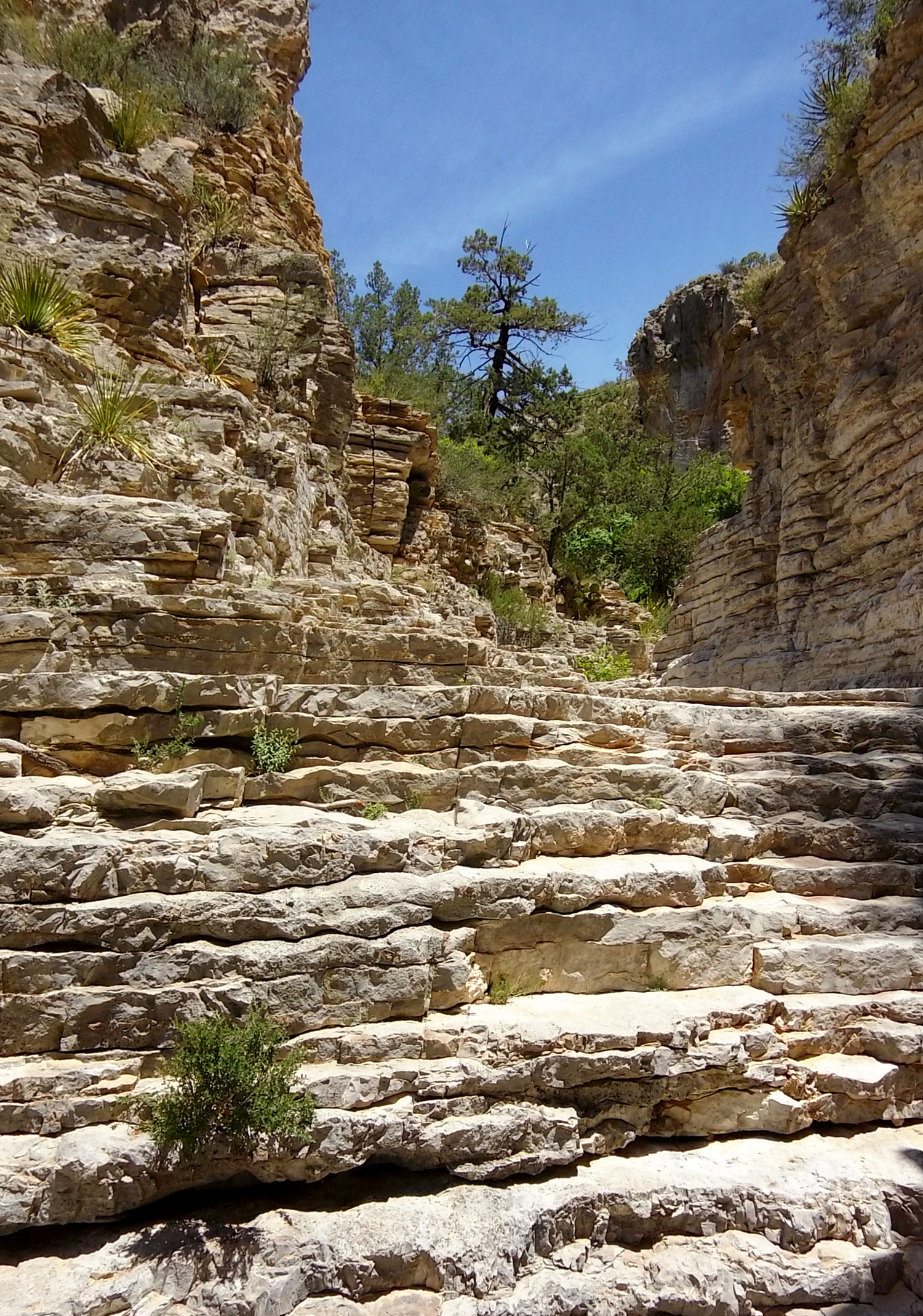 Layered rocks like a staircase into a narrow canyon of similar layered walls